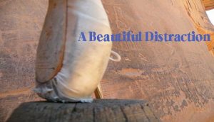 A beautiful distraction