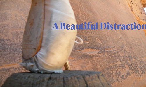 A beautiful distraction