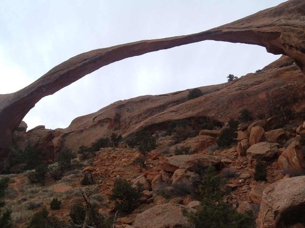 AAEAAQAAAAAAAANRAAAAJDEyNjUxM2Y5LTI1M2EtNDg5Ni1hN2U4LWQxMzM1NDNiZTdkYQ