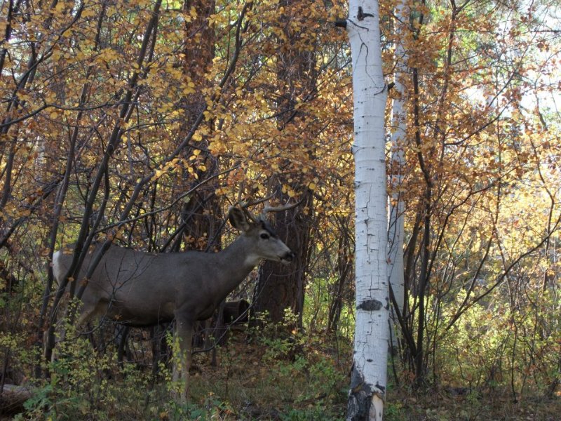 AAEAAQAAAAAAAAQXAAAAJDhkOWQ5ZDQxLWZlOTMtNGYxYS1iMTVmLTA5ZGEyOGNmOTMwNw