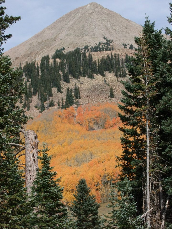 AAEAAQAAAAAAAARTAAAAJGY4OTVkNTY3LWEyZTEtNDQ5Ny1hMTA2LTUzOWY0YThjYWJjNA