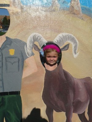 What's on Your Bucket List? Any Chalk, a Plant, Crazy Glue, Birdseed?