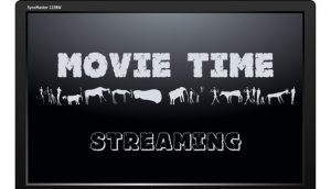 Amazon vs. Netflix the Streaming Debate