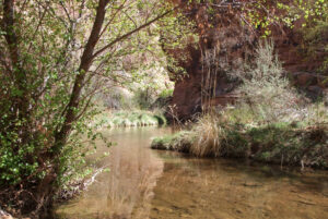 kane creek