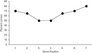 serial position curve